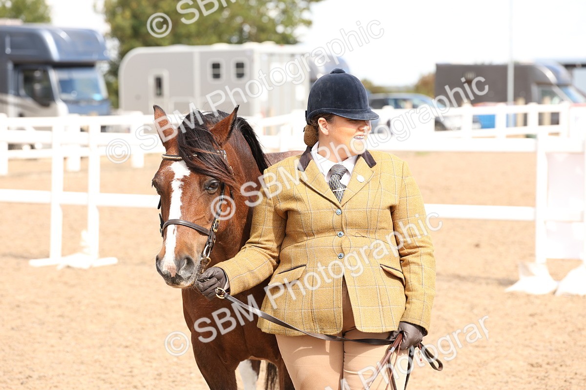 SBM_13979 - Class 205 - IH Show Pony - Show Hunter Pony