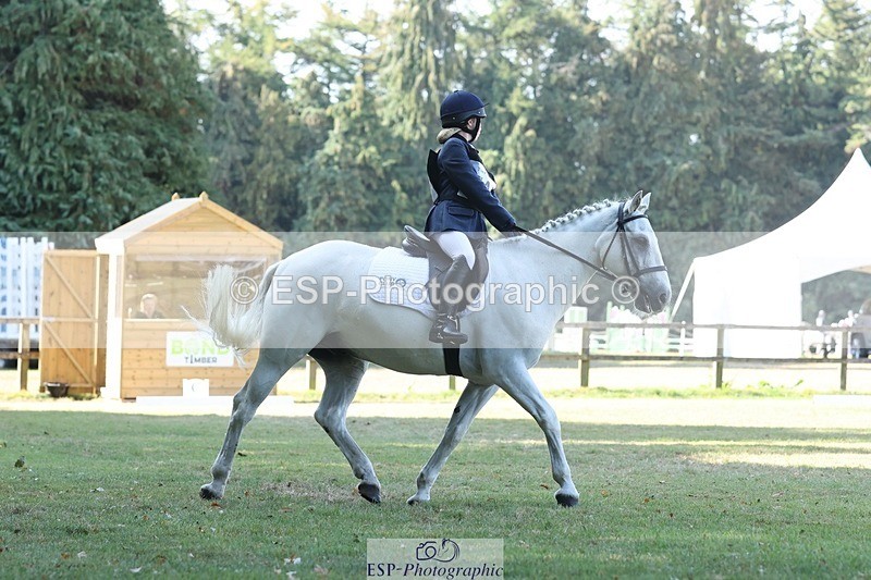 250823A-101639-27007 - Arena C