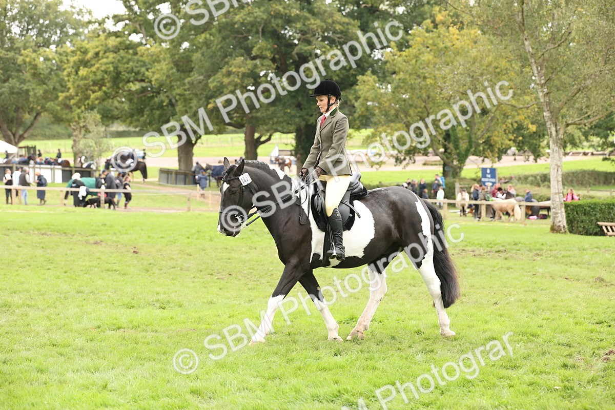 SBM_67254 - S67 - Piebald & Skewbald Horse Ridden