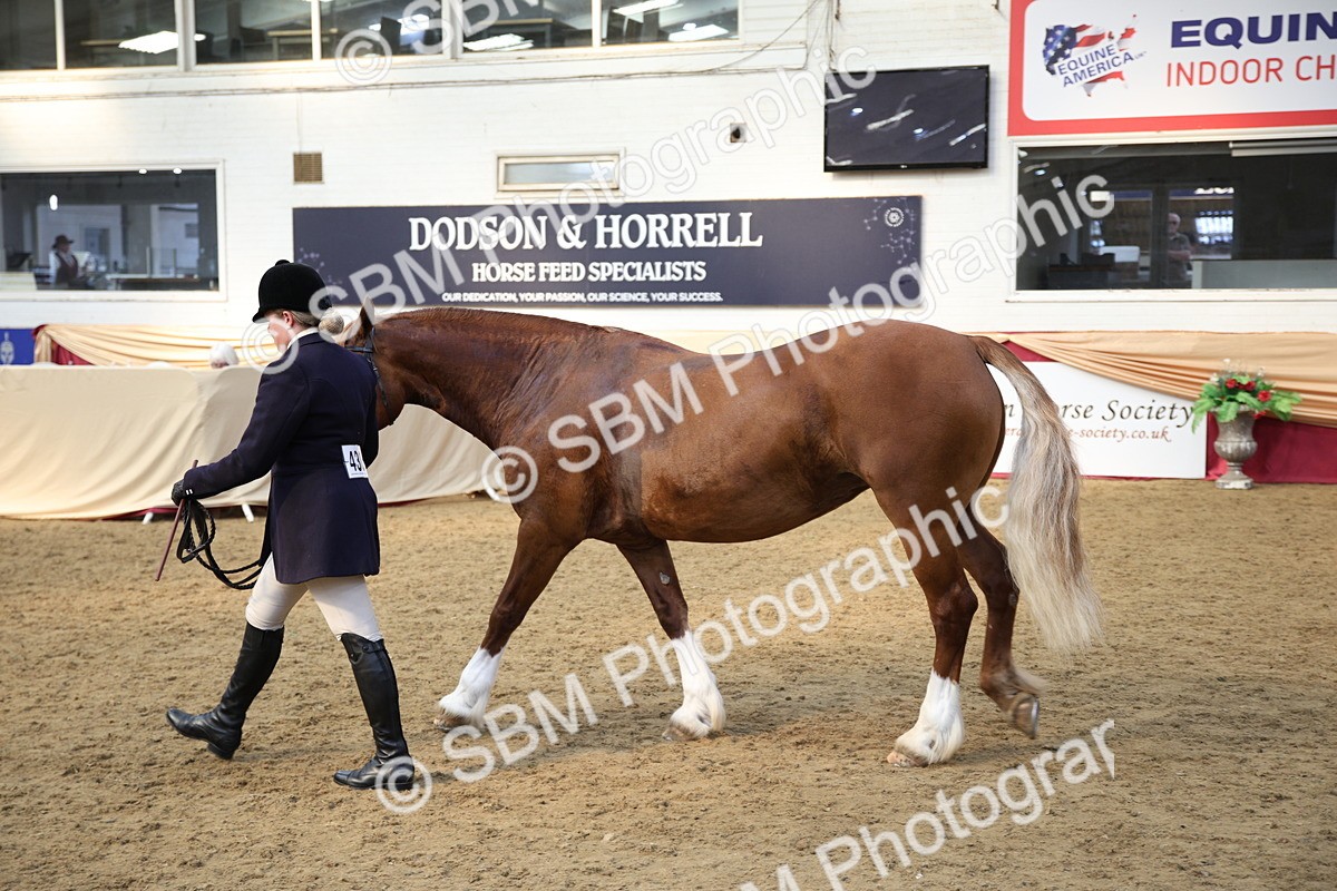 SBM_24791 - Class 906 - Supreme Final - Ridden Pre Vet