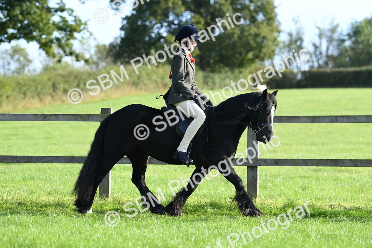 SBM_53989 - S23 - 1st Ridden Mountain & Moorland Pony