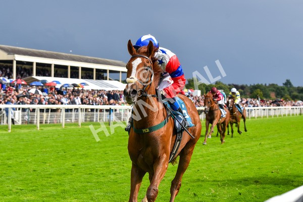 150723-Race 6-Robert Johnson-8826 - Race 6 4.55pm John Smith's Stayers' Handicap
