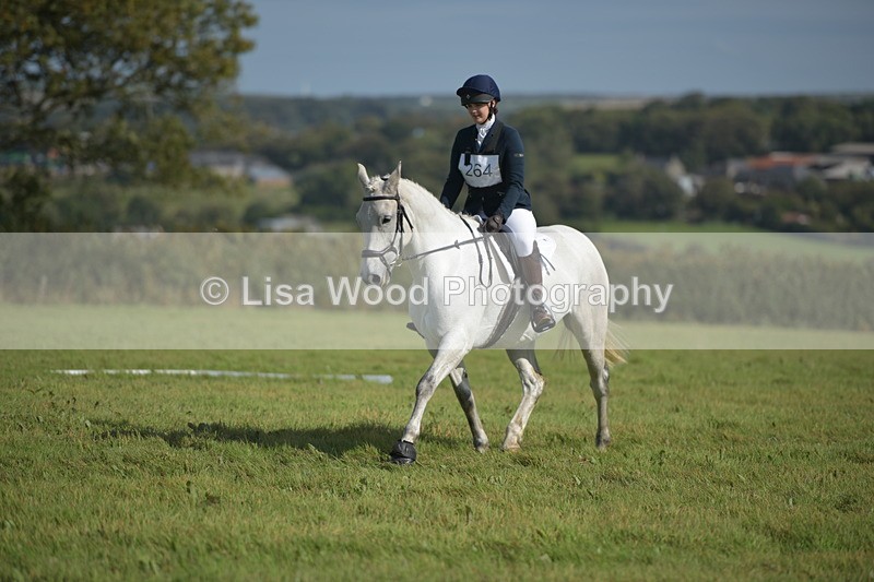 RAY_8077 - Class 2B: Trekenning Open: Dressage