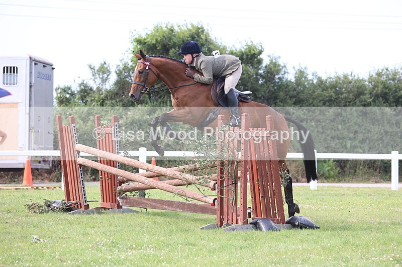 JPP_4208 - Class 25: Working Show Horse