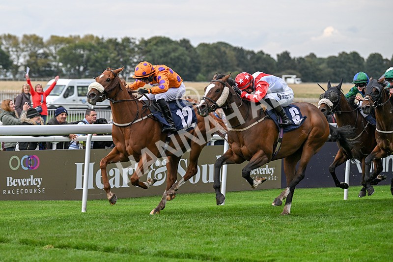 240924-Race 5-Ifonlytheycudtalk-6491 - Race 5