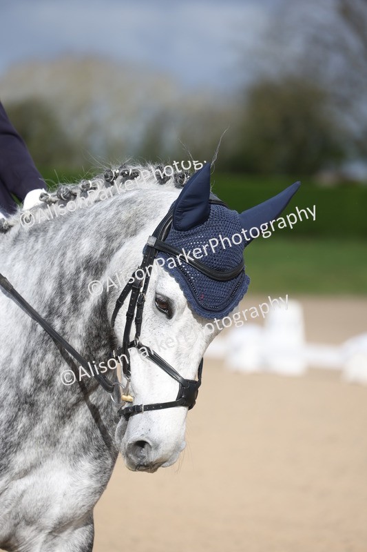 20260405-0009 - Class 1 - Prelim 5