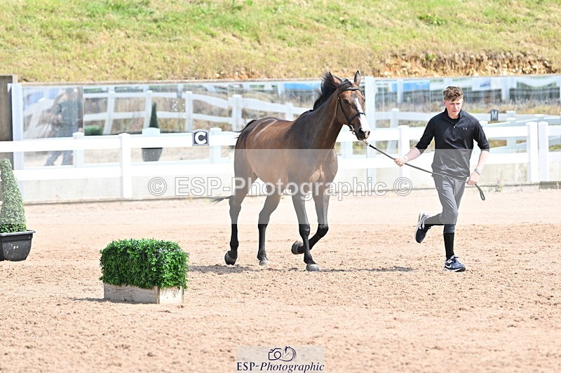 240717A-151901-02743 - Trot Up 3pm to 4pm