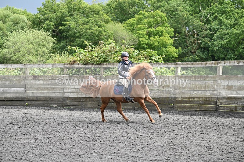 WJ6_0213 - Class 13 Novice 60cm