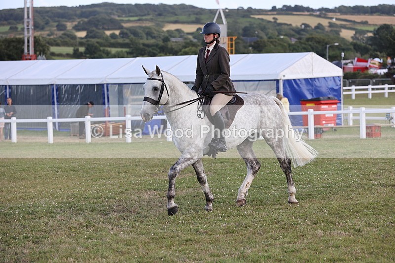 JPP_3567 - Class 22: Working Hunter 90cm