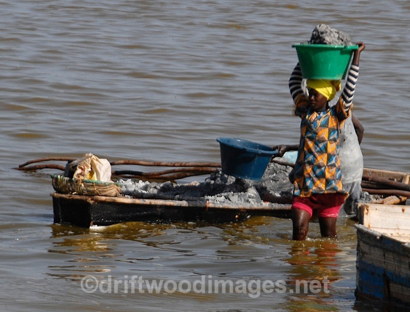 Senegal Lac Rose salt production 10 woman carrying salt from boat to s - Senegal Salt Production at Lac Rose
