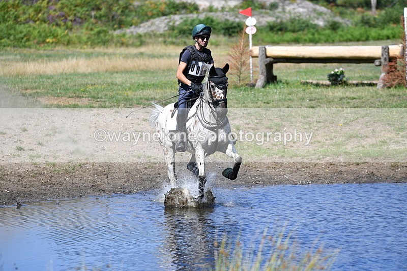 WJ5_2377 - XC Time 11:17 to 11:50