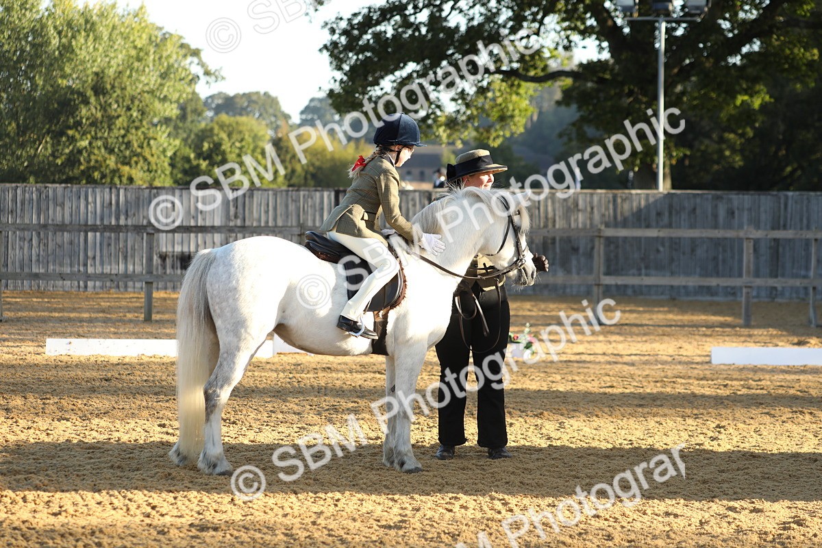 SBM_33609 - D26 - Starers - Lead Rein