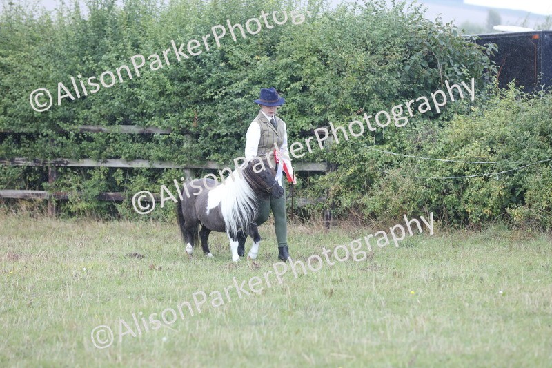 20250831-3066 - Inhand Championship