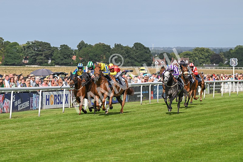 140824-Race 6-Glistening Nights-6854 - Race 6