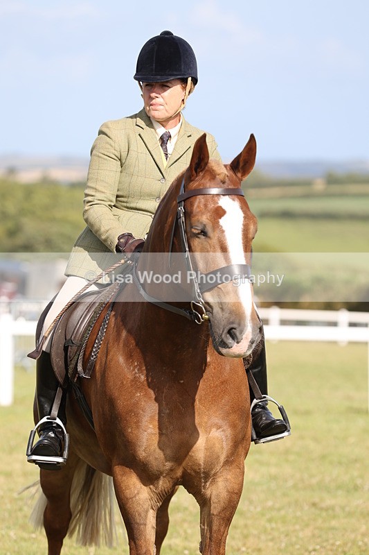 JPP_2997 - Class 20: Working Hunter 70cm