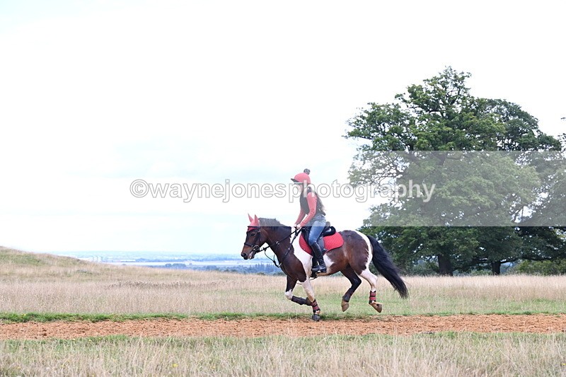 DSC_9703 - Time at Statue 15:11 to 15:58