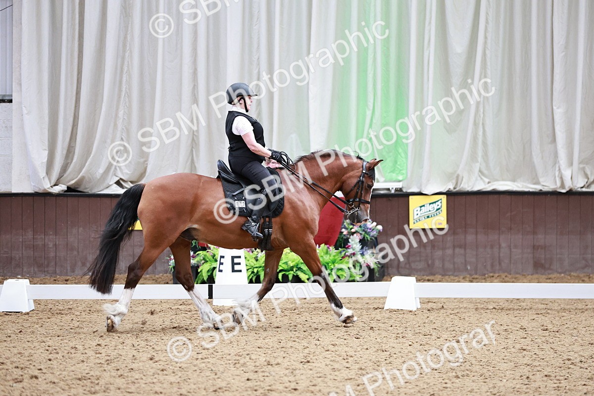 SBM_014354 - Class 7 - Ele FSM Bronze  13.24.14.04