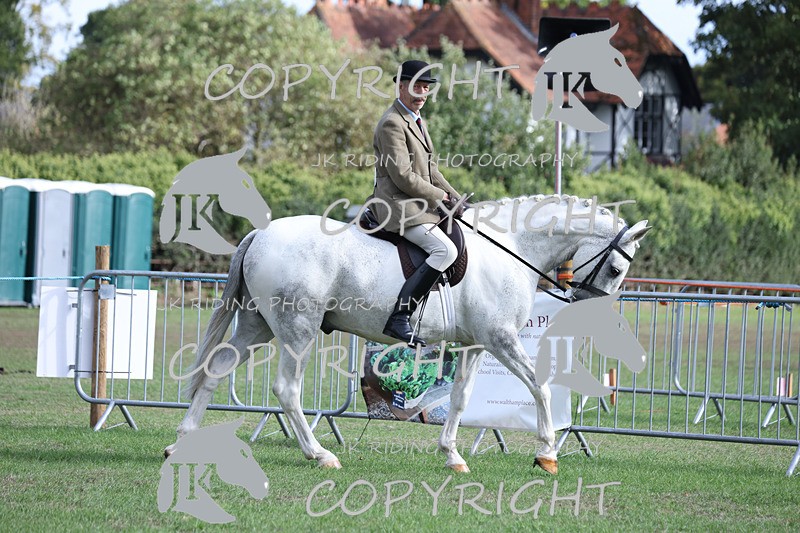 APP_4109 - Class 15a/b Pony club pony/Riding club horse