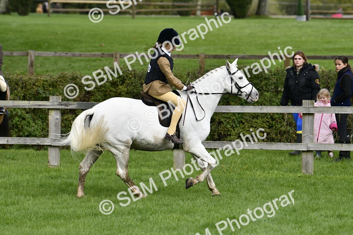 SBM_41600 - S32 - Mountain & Moorland Working Hunter Pony