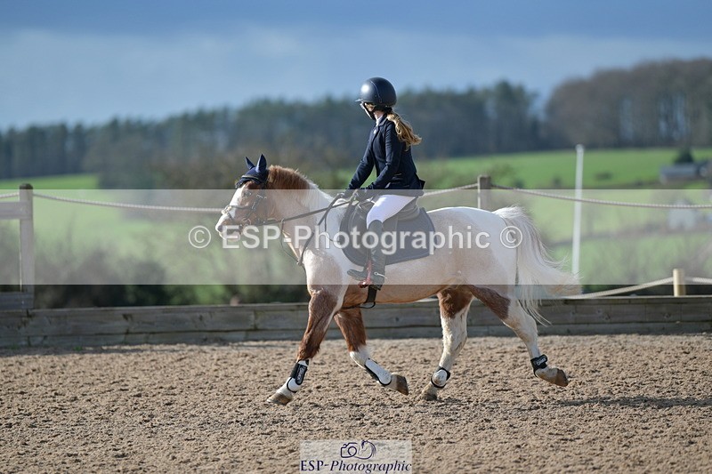 240211A-135021-03268 - Stepping Stones