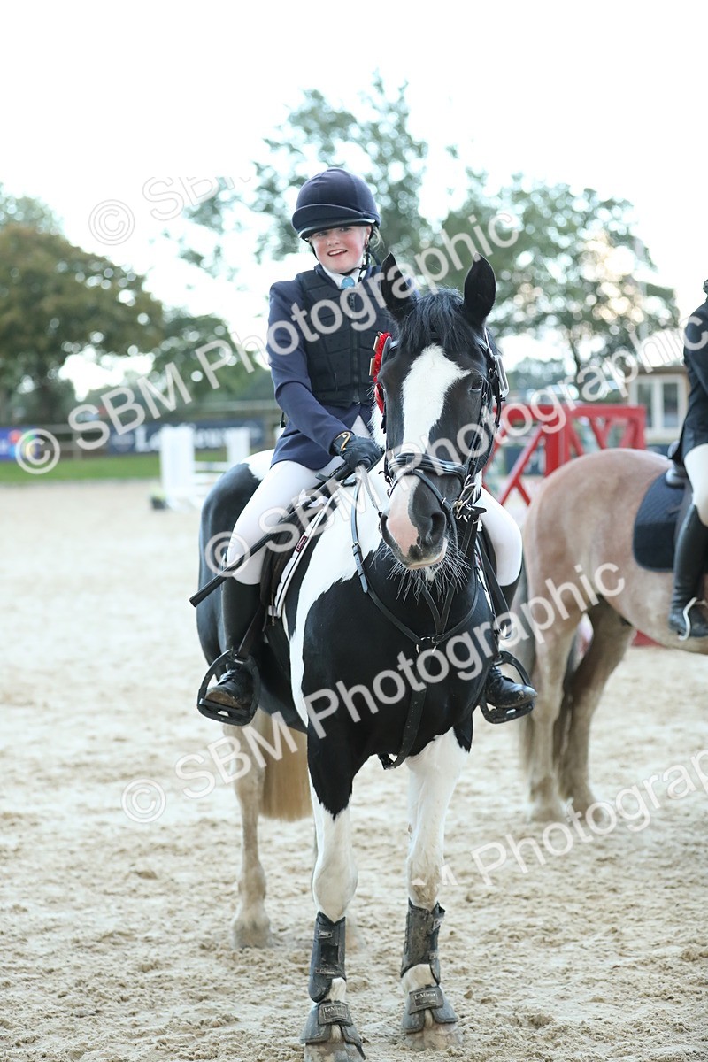 SBM_53771 - Supreme Championship 65cm 70cm