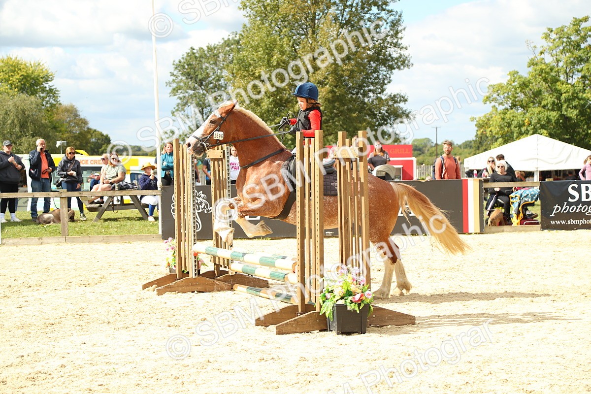 SBM_41362 - J6 - Junior Pony 55cm Championships