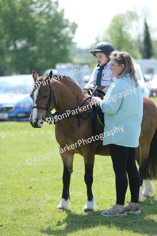 20250427-2730 - Class 6 - Pony Judge Would Most Like To Take Home