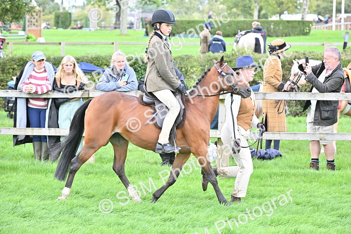 SBM_38324 - S19 - Lead Rein Show & Show Hunter Pony