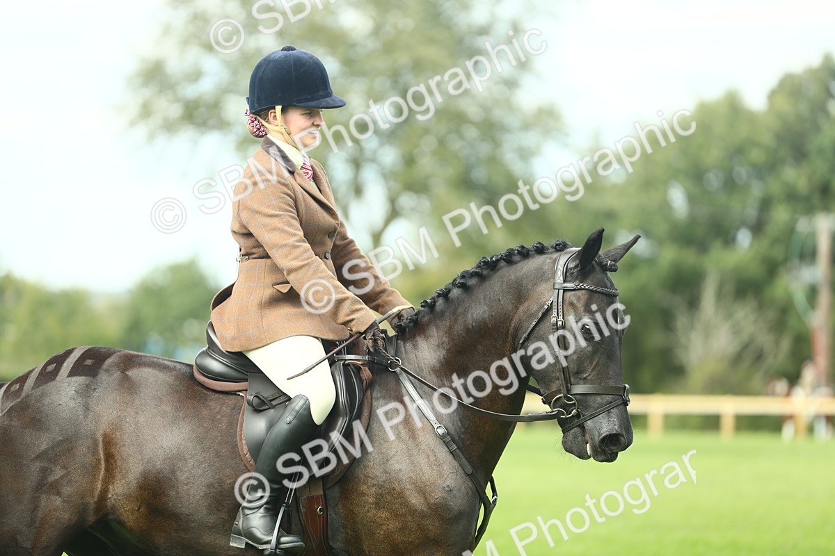 SBM_44754 - S31 - Working Hunter Pony
