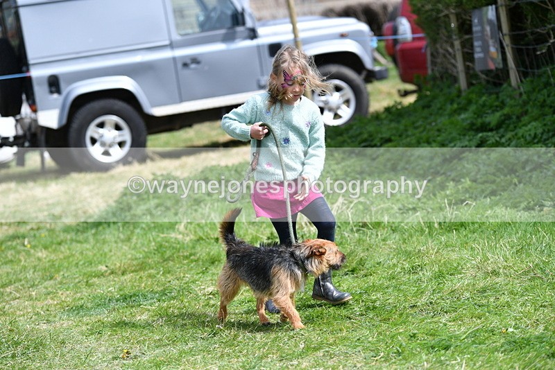 WJ5_0361 - Class 7 Best Terrier