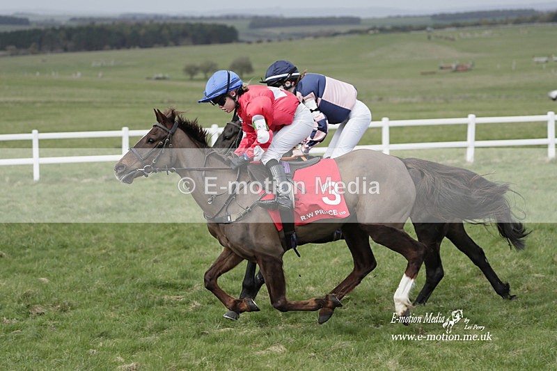 PtP 260323 1037 - New Forest Hounds Point-to-Point Larkhill 26/03/23