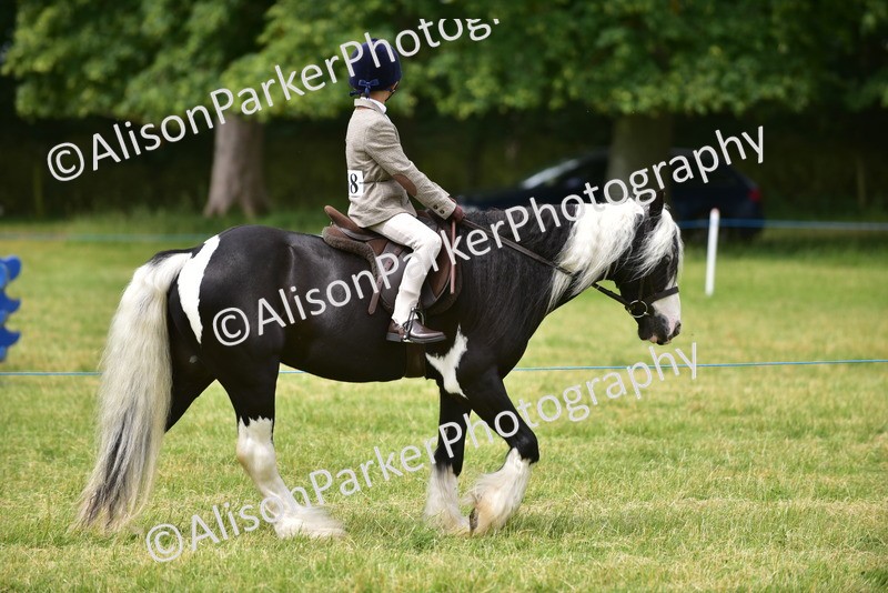 20260614-4181 - Class 17 - Best Mane and Tail