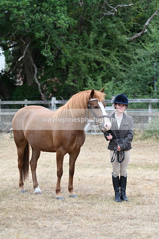 WJ7_8138 - Class 4 Prettiest Mare up to 14.2hh