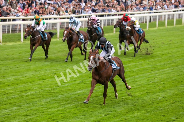 230923-Race 2-Palamon-5245 - Race 2 2.35pm jigsawsportsbranding.co.uk Handicap