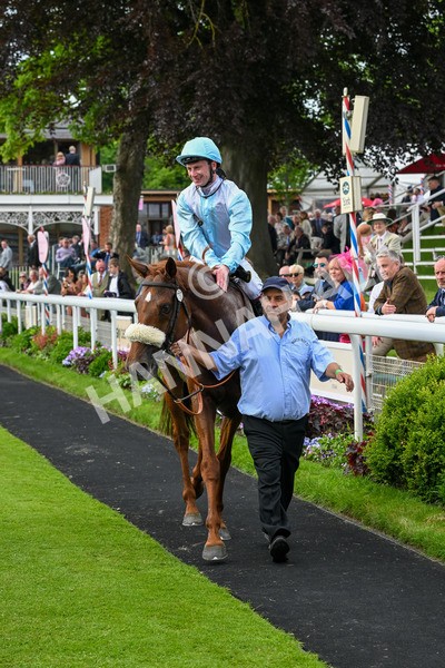 170524-Race 4-Giavellotto-8202 - Race 4 3.45pm Boodles Yorkshire Cup Stakes