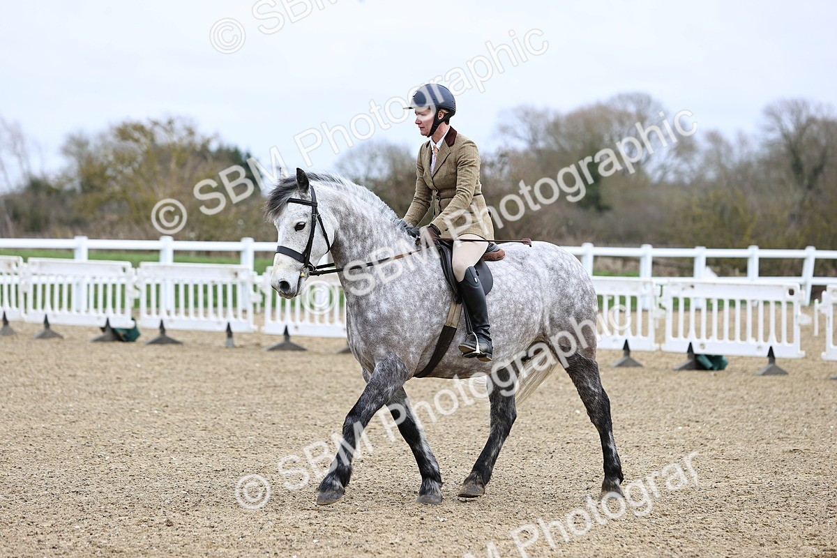 SBM_006976 - Class 29 - 30 - M&M Pure Novice Small-Large Breeds
