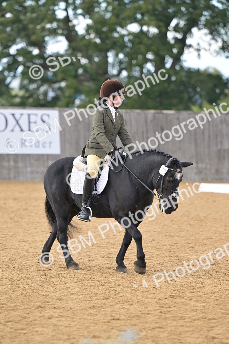 SBM_12891 - D3 - Small Tour Championship Intro 3