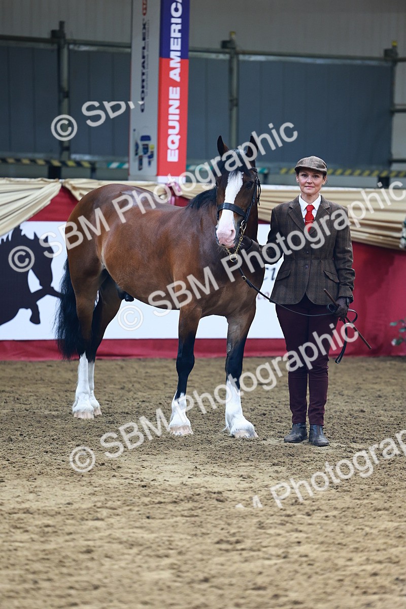 SBM_22204 - Class 902 - Supreme Final - IH Diamond