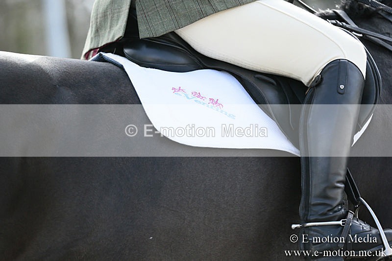 BVRC SJ 170319 815 - Bourne Valley Riding Club Showjumping 17/03/19