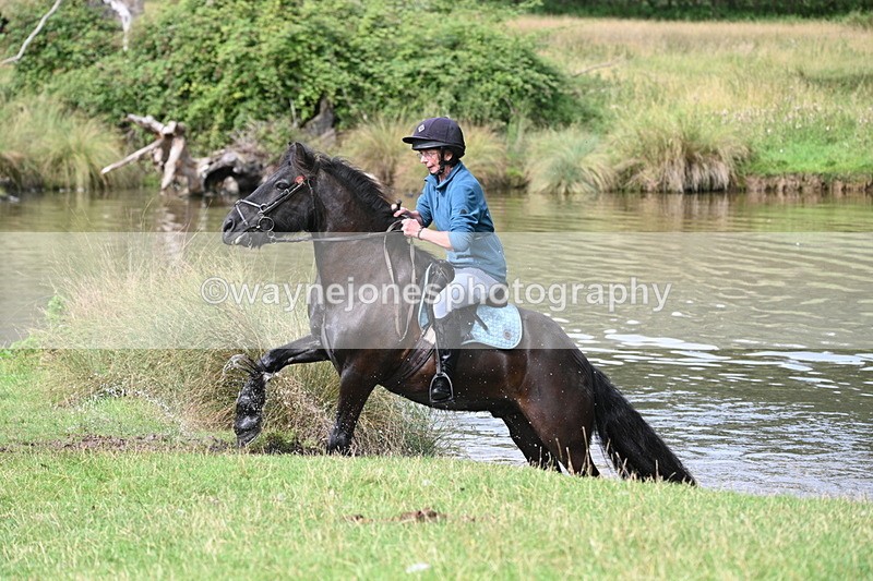 WJ7_1189 - Time at Water 10:09 to 10:47