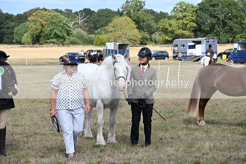 WJ6_6770 - Class 20 In-hand Cob