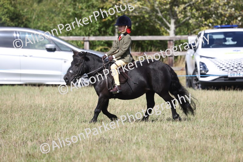 20260906-3072 - Class 18 - Childs First Pony
