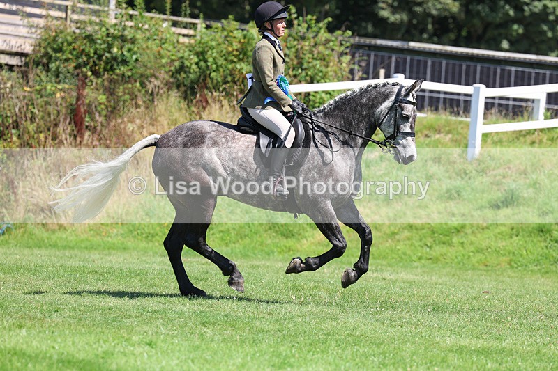 3E7A9156 - Working Hunter Championship