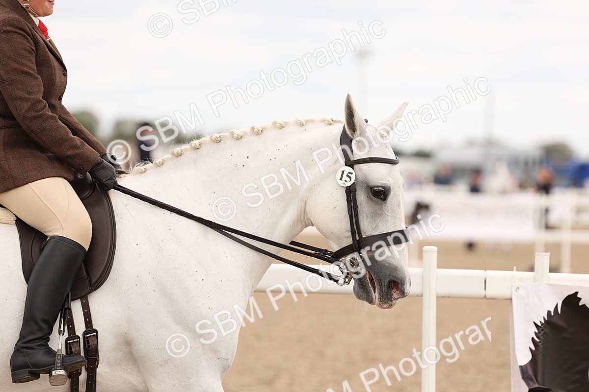 SBM_16465 - Class 212 - Ridden Hunter - Small