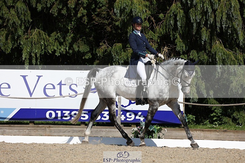 230526-155736-07722 - 167-COR_Y_TARAN-Toots_Bartlett-WEDTrotUp+DR