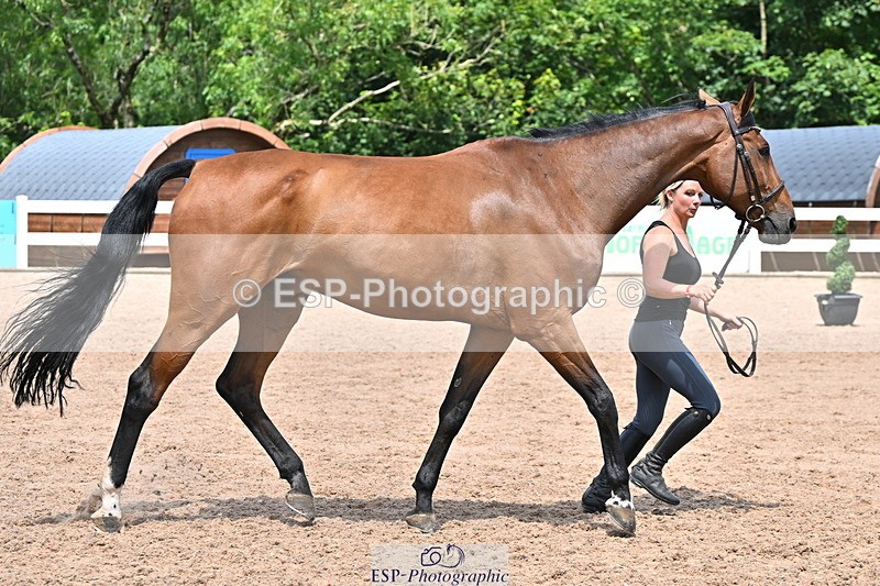 240718A-105320-01857 - Trot Up 1pm to 2pm