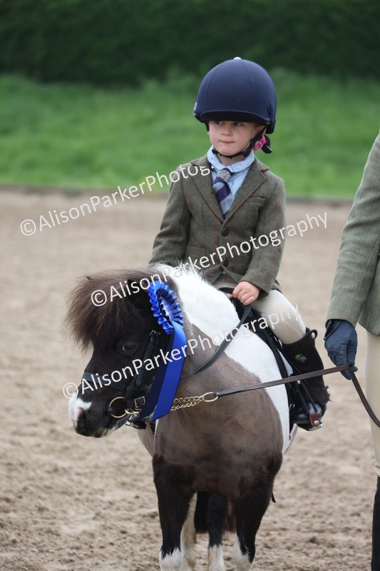 20260504-0135 - Class 9 - Lead Rein Pony