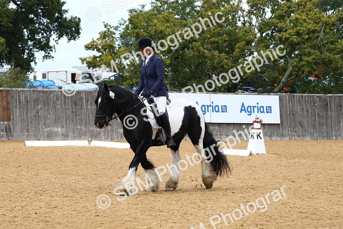 SBM_21012 - D5 - Small Tour Championshop Intro 2