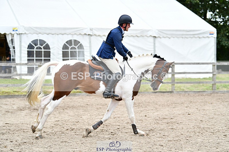 240825X-165130-36913 - 80cm SJ 16.00 to 17.26