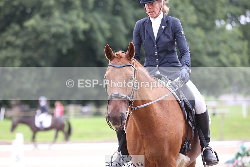 230812-094033-02998 - Cls 5 Novice Bronze Start to 10.55 break